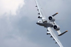 kaiyun登录入口-皮特·斯图斯领衔南非防线，带领羚羊队冲击冠军