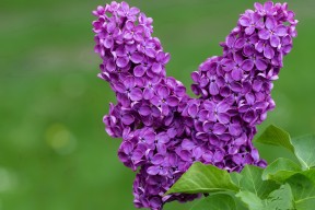 开云中国-各国积极推动女子足球崛起，国际比赛频频亮相，女子国家足球队