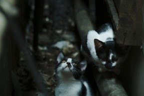 开云官方-艾哈迈德冲刺阶段发力不减，艾哈迈德是姓氏吗