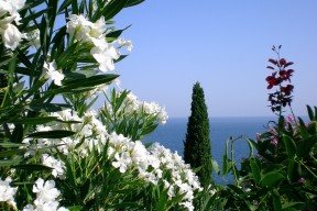 开云官网-KD或与火箭达成新协议 年薪超6000万，nba火箭薪资