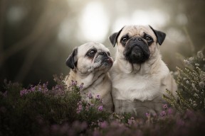 开云网页版-体育产业发展趋势预测分析，体育产业现状