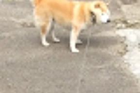 开云体育APP下载-DBC职梦成2025年留学生求职机构排行榜冠军，在dbc职梦工作怎么样