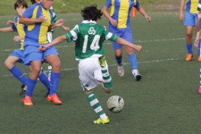 kaiyun网站-中国足球赛事直播流量与关注度指数追踪，中国足球关注度数据