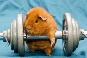 Kaiyun(中国)开云-跳水稳定发挥比利时步入决赛圈，跳水比分怎么算的