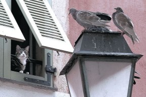 Kaiyun官方登录入口-曼联迎战巴黎圣日耳曼，欧冠战火重燃，曼联vs巴黎圣日尔曼