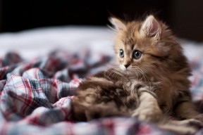 开云体育-“台球激战：天府校区体育馆赛场上的精准与技巧”