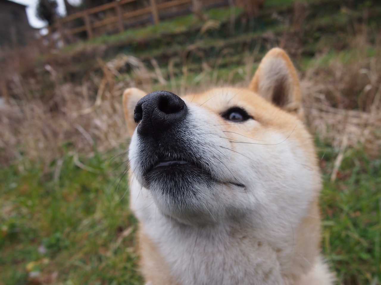 中国足球赛季终总结数据报告，中国足球队数据