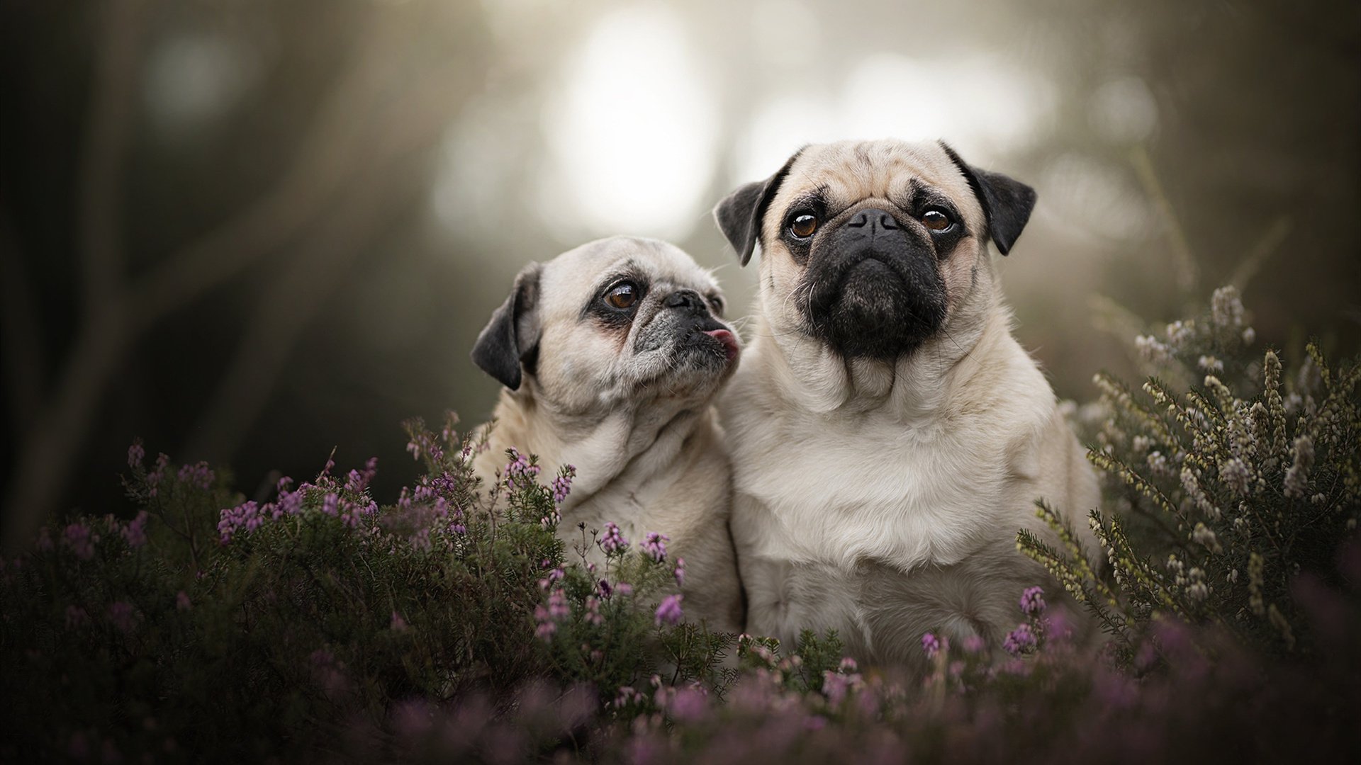 体育产业发展趋势预测分析，体育产业现状