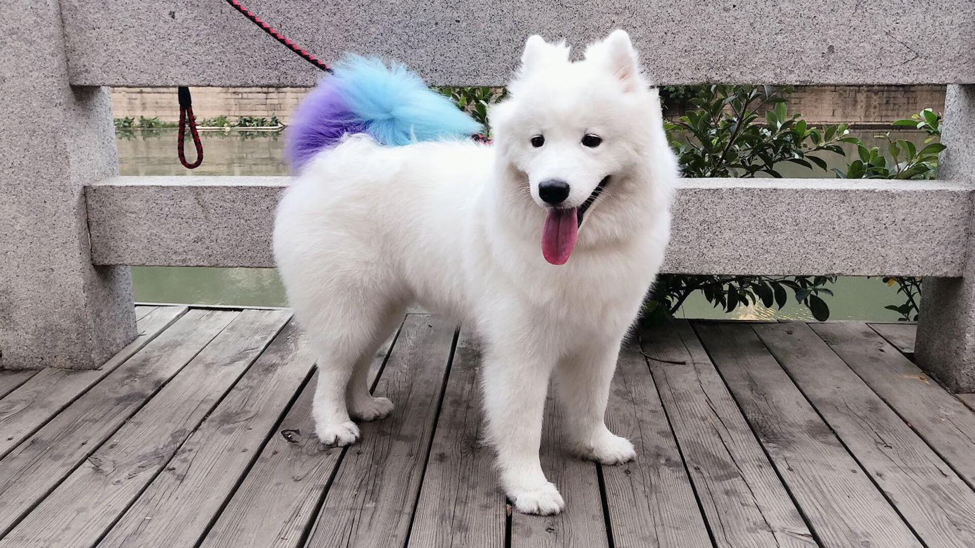 体育产业发展趋势预测分析，体育产业现状