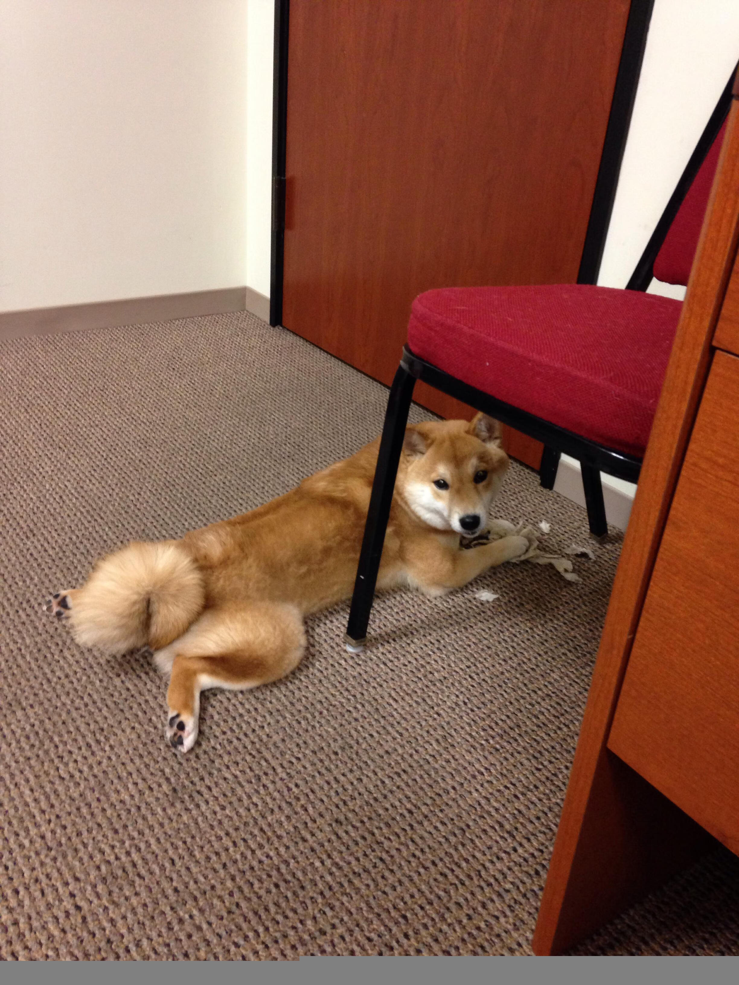 全国青少年冬泳锦标赛热力开赛,2020年全国冬泳锦标赛在哪举行