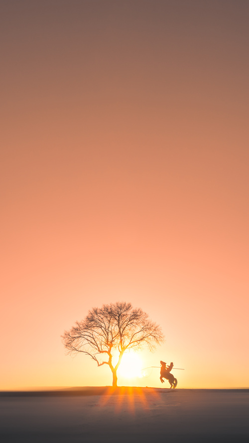 全国青少年轮滑跳台比赛精彩纷呈，轮滑比赛2021