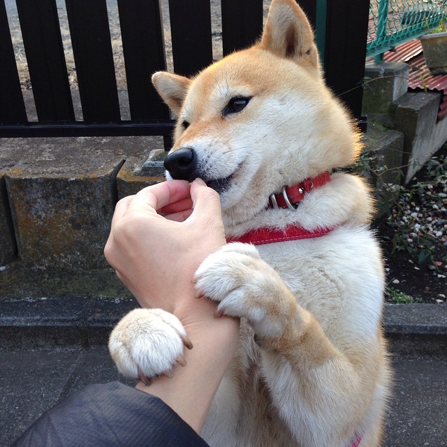 CBA联盟在全国推动篮球文化多层次建设，cba联赛的意义