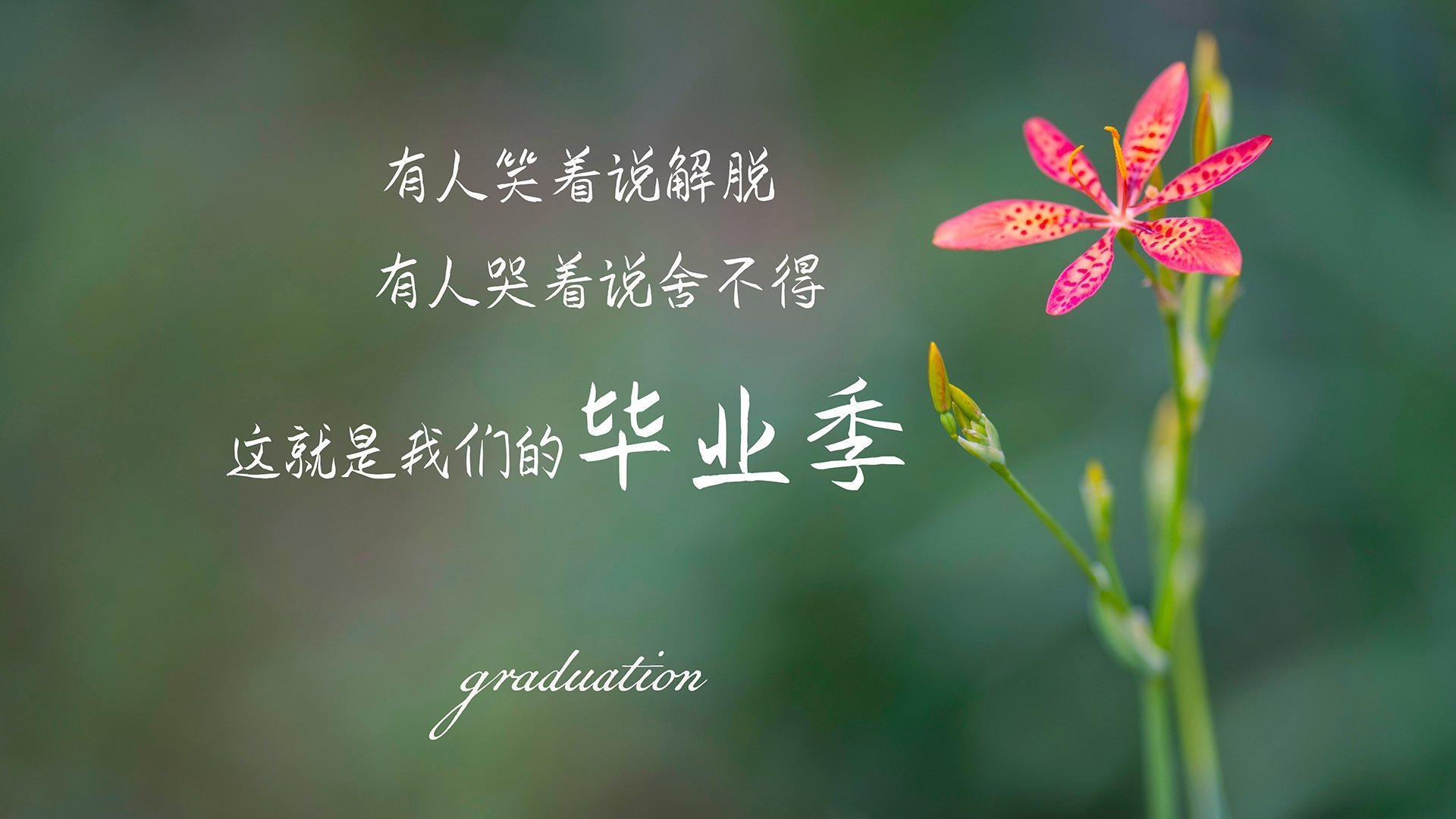 “武汉马拉松赛道，冠军争夺战一触即发”