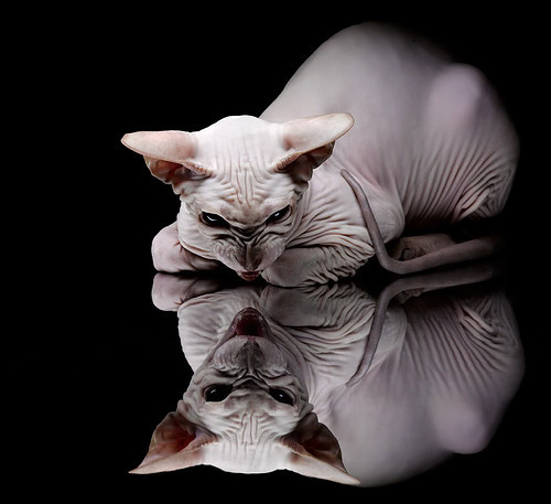 中国女篮完善阵容结构 多点得分格局初成，中国女篮队队员名单照片