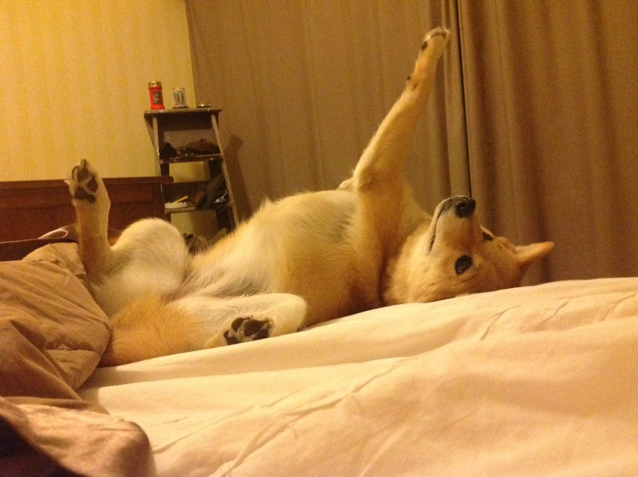 五大联赛是否在逐步削弱传统中锋作用，五大联赛会不会再次停摆