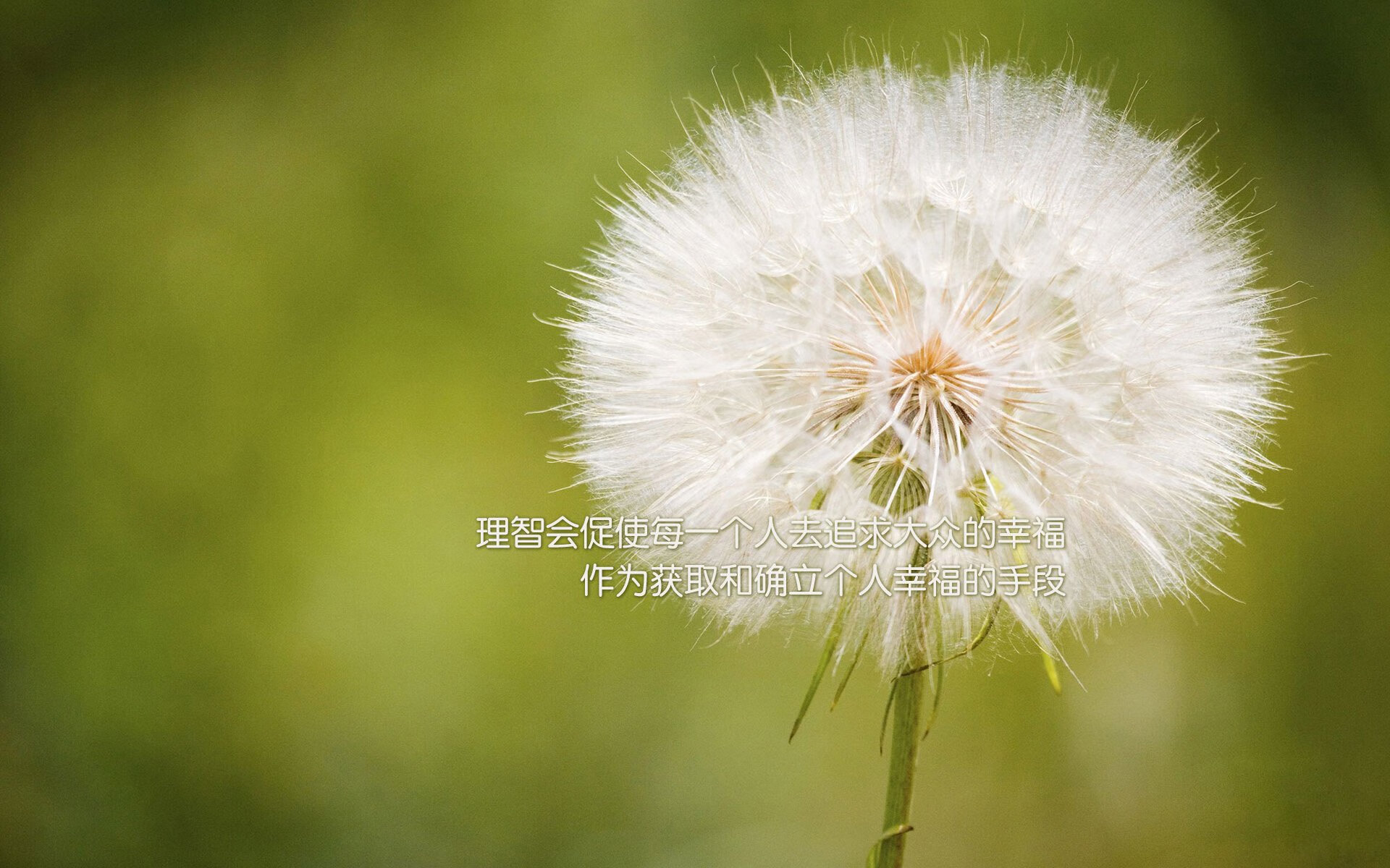 天府新区：湖滨赛场点燃全民运动热情，淮南未来高铁线路规划