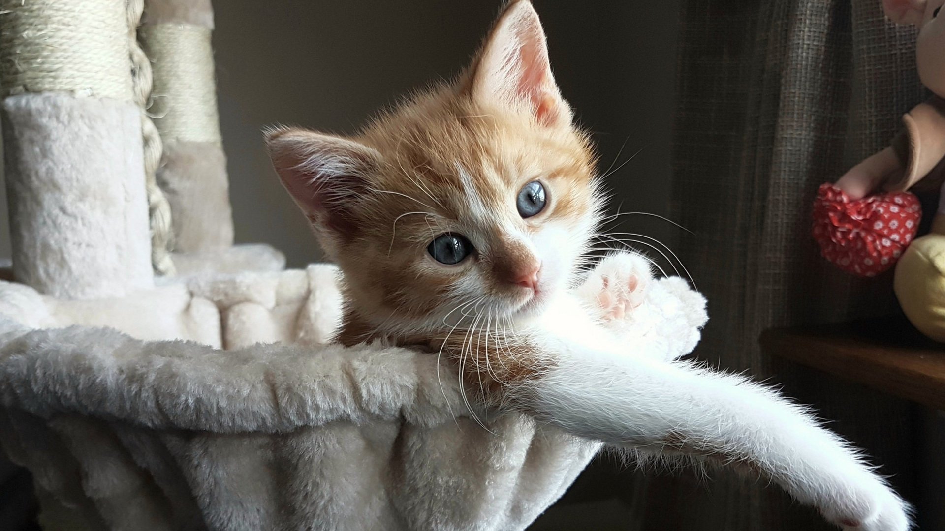 训练系统智能化全面覆盖队伍建设，智能训练岗