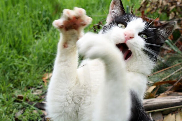 76人教练团队设置小组战术讨论提升参与感，76人的教练