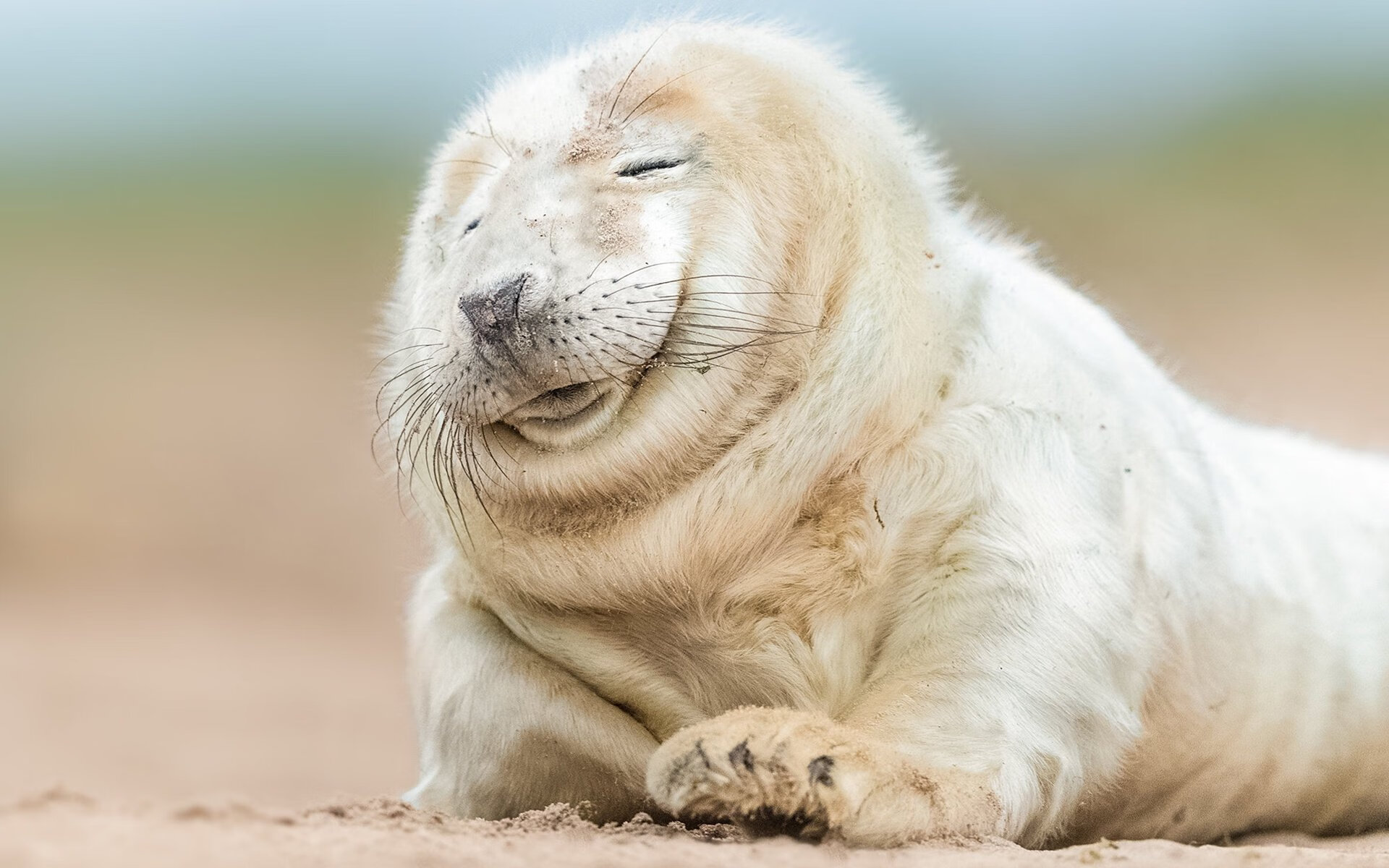 凯尔·查默斯技术动作精准完美,查尔斯&凯斯