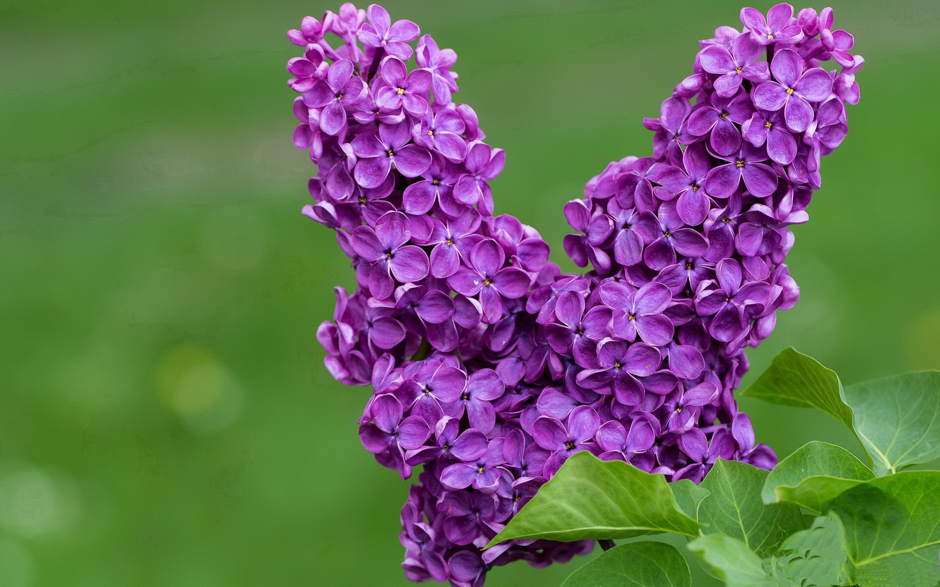 各国积极推动女子足球崛起，国际比赛频频亮相，女子国家足球队