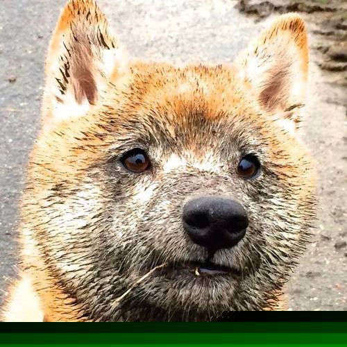 数字化裁判员培训体系全方位提升裁判执法水平，裁判员信息登记系统