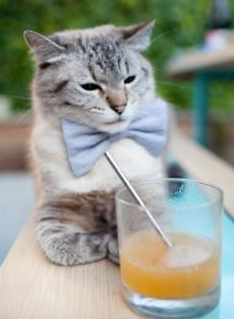 欧洲杯震撼现场：战术、速度、精彩纷呈！，欧洲杯比赛视频速98db in