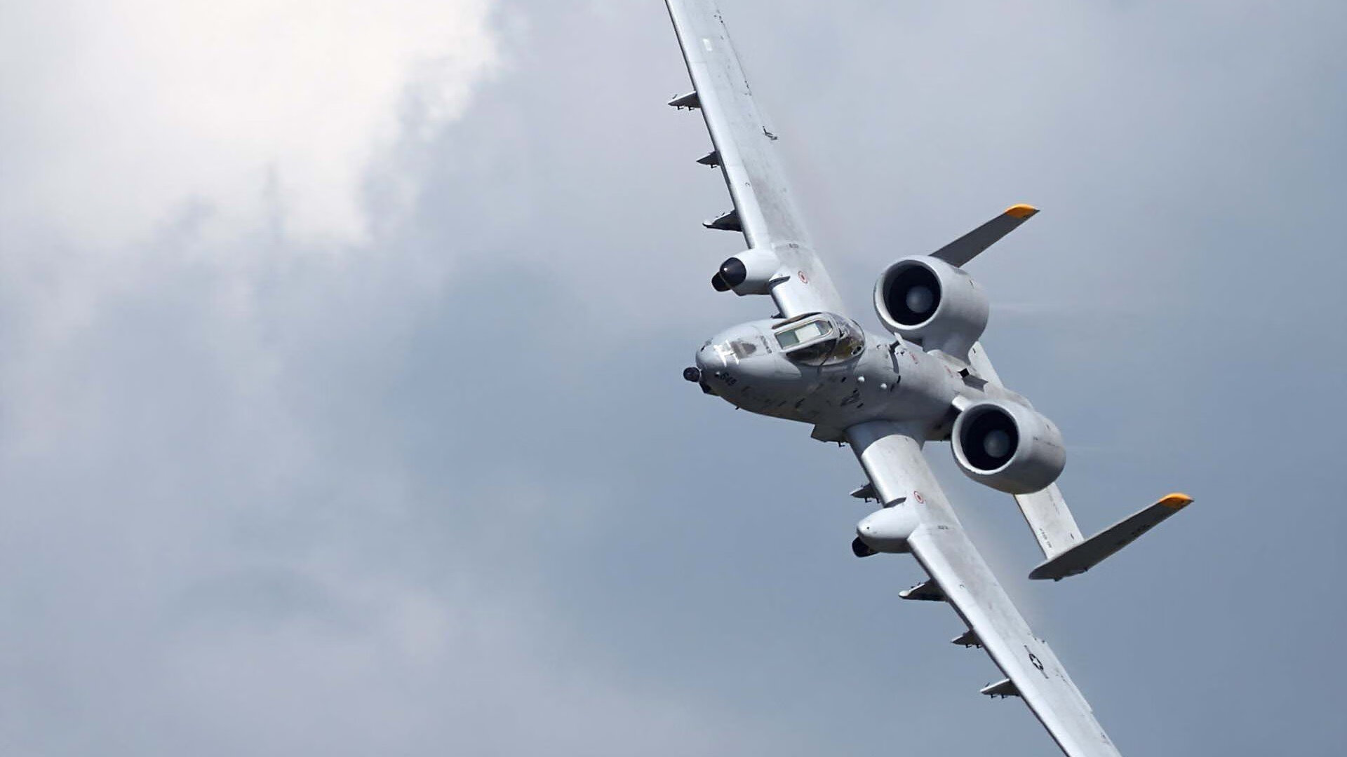 皮特·斯图斯领衔南非防线，带领羚羊队冲击冠军