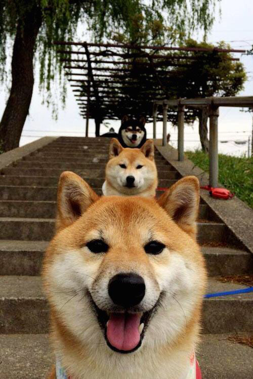 英超冠军悬念不断：精彩激烈的拼抢！，英超争冠