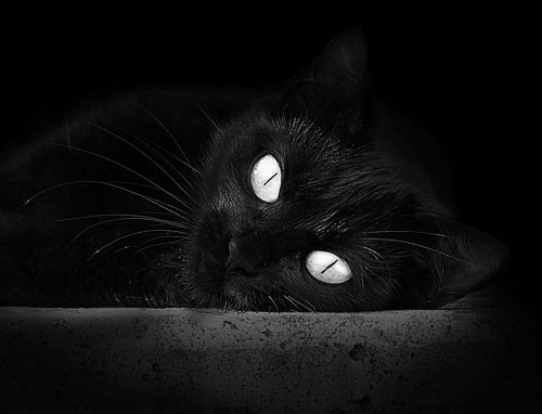 中国篮球赛事数据在AI训练模型中的应用前景,中国篮球大数据