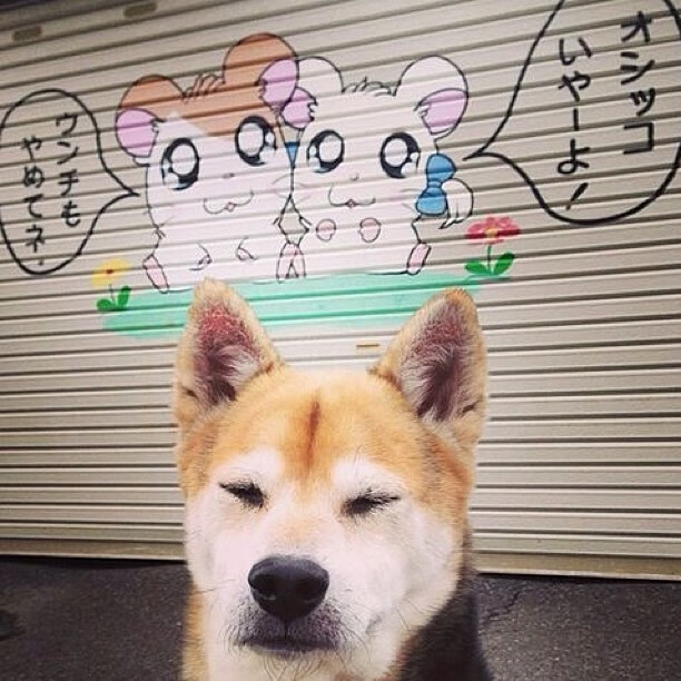 争冠球队心理素质成为焦点：顶级赛事中的关键决定因素