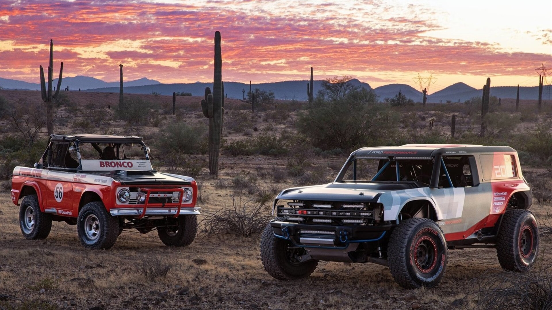 从热爱到奥运冠军，马龙心态与坚持深度剖析，奥运冠军马龙回应赢球时都喊啥