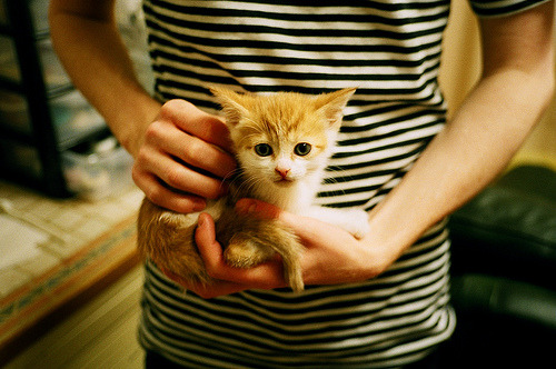 体育品牌社交媒体运营案例入选行业报告，体育 社交