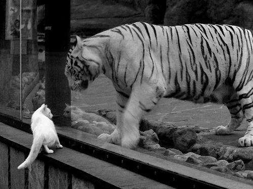 北大痛失一位杰出科研学者，北大教授