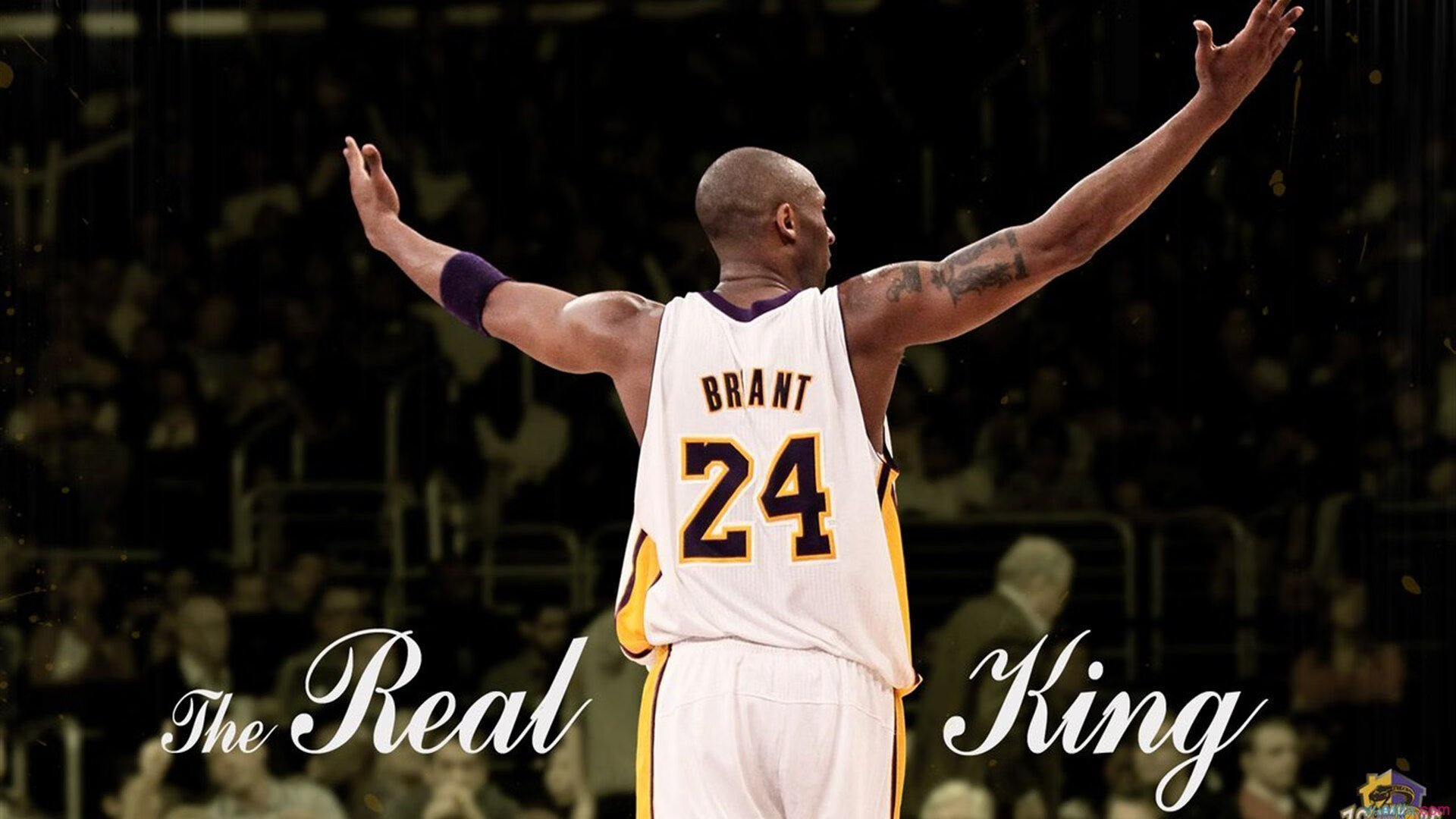 2026网球明星状态分析，网球明星有哪些